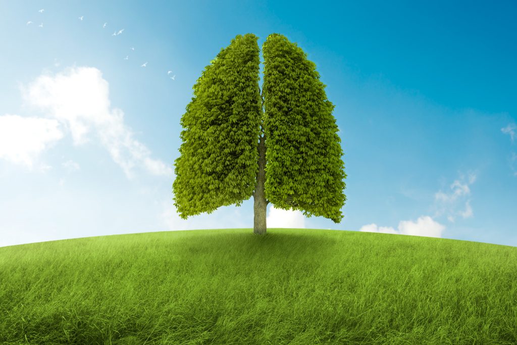 Smart Energy Solutions For Smart Homeowners